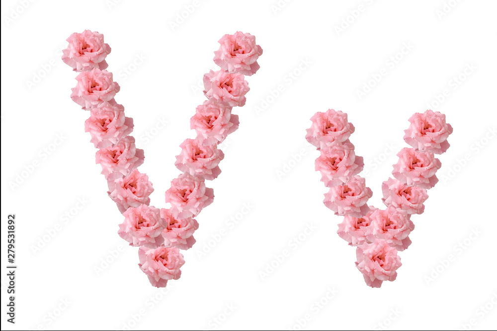 English alphabet from flowers of pink roses, letter V, collage. English alphabet from flowers of pink roses, letter V, collage.
