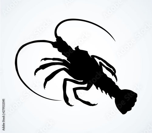 Lobster. Vector drawing
