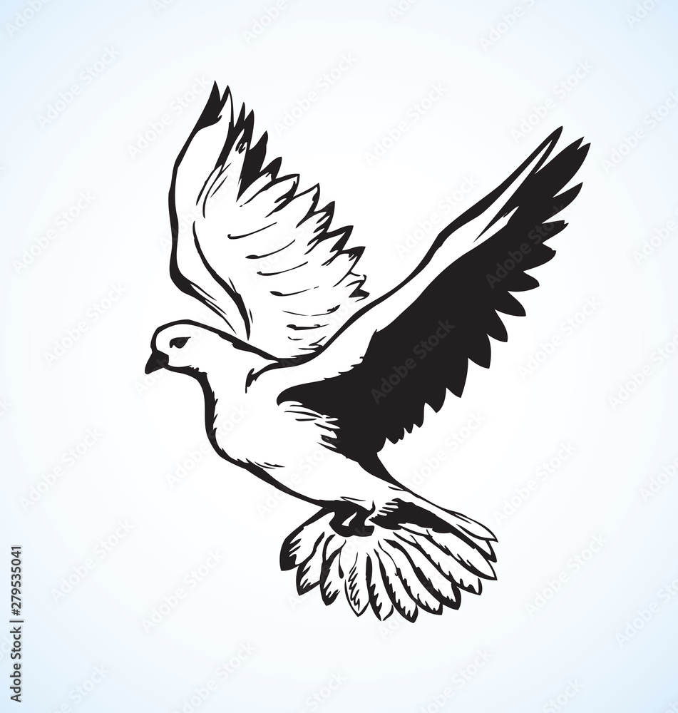 Vector illustration Flying dove Vector illustration Flying dove