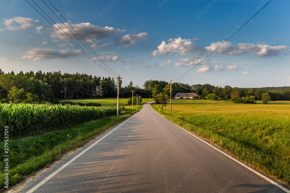 Road through the field and clouds on blue sky in summer day