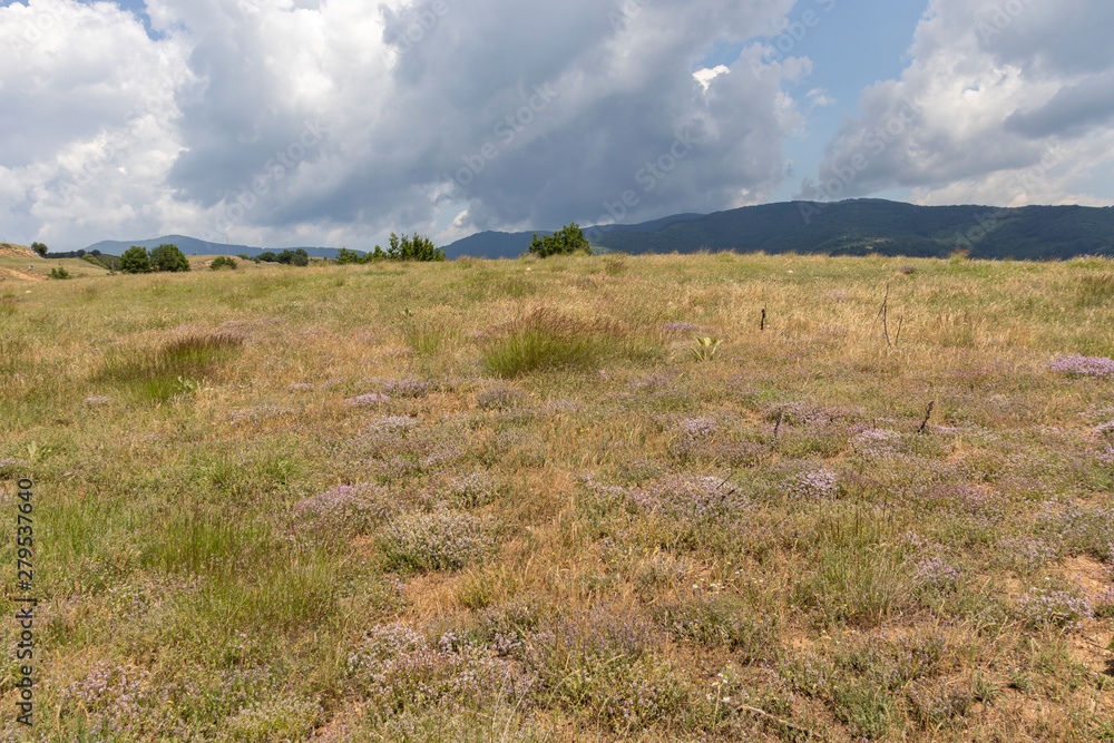 Obraz premium Landscape of Ograzhden Mountain, Bulgaria