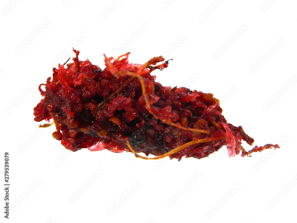 Obraz premium raspberry isolated on white background