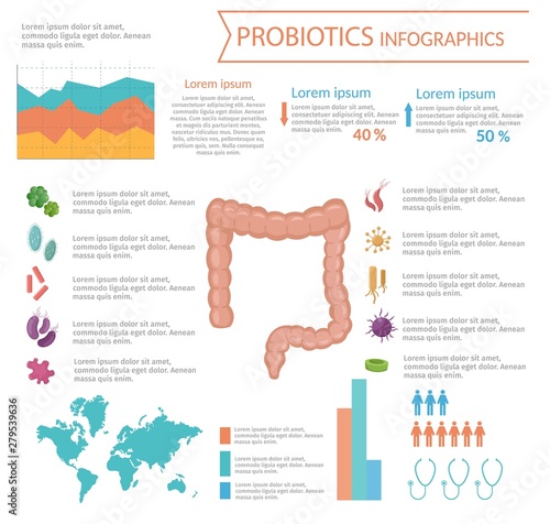 Vector medical infographic probiotic intestine bacterium