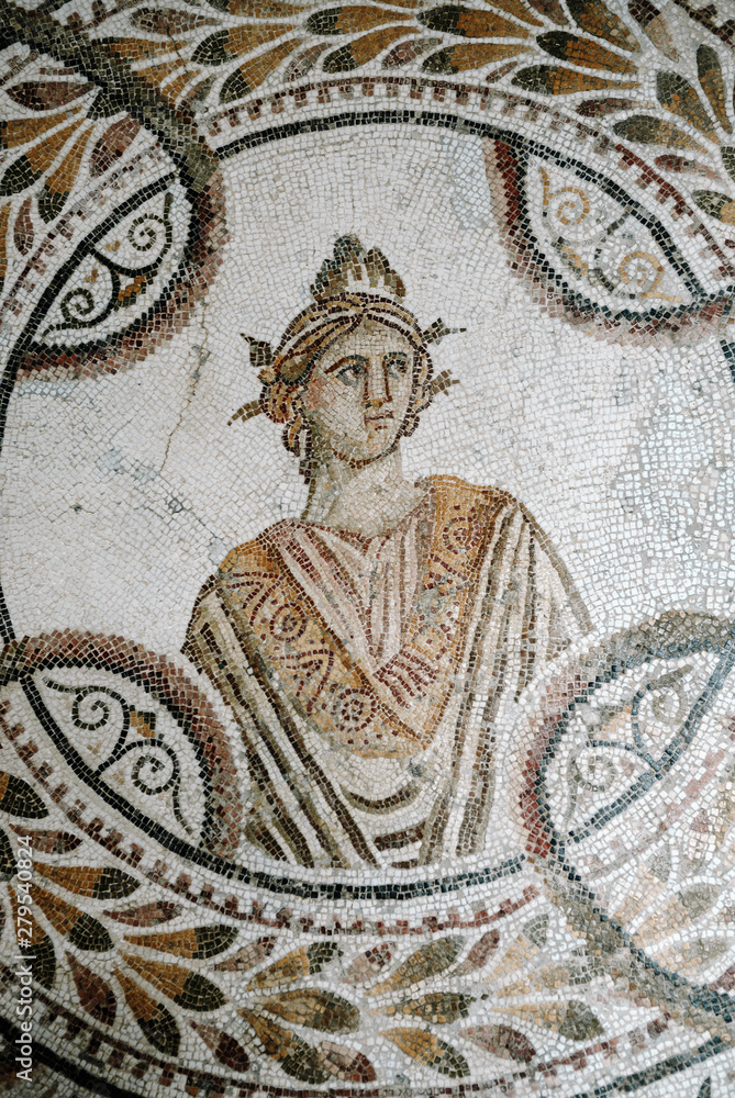 Roman mosaic, Archaeological museum, El Jem, Tunisia
