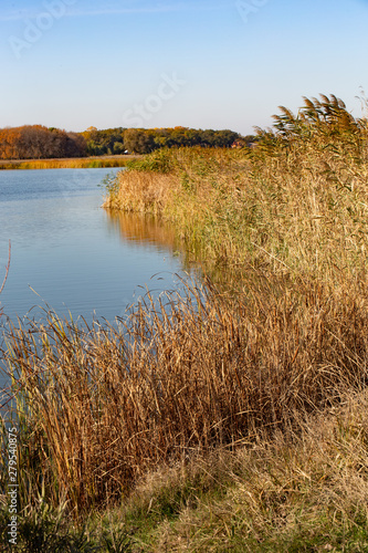 Autumn landscape on a nice sunny day