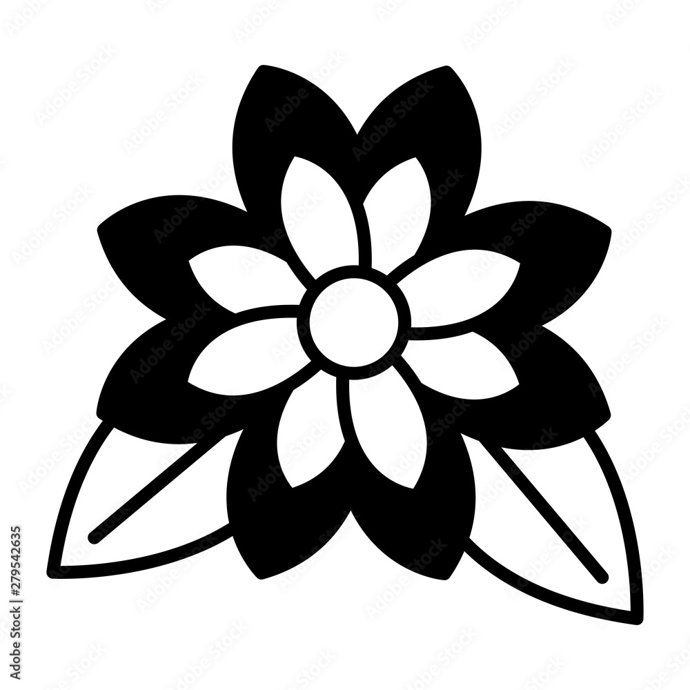 flower petals and leaves white background flower petals and leaves white background