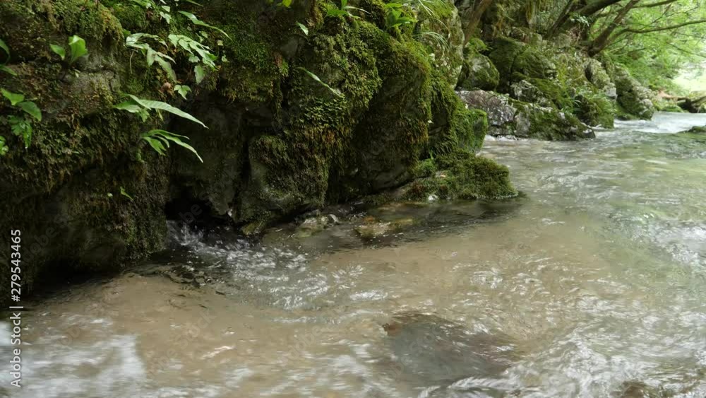 水の流れ　円原川　伏流水　岐阜県　日本