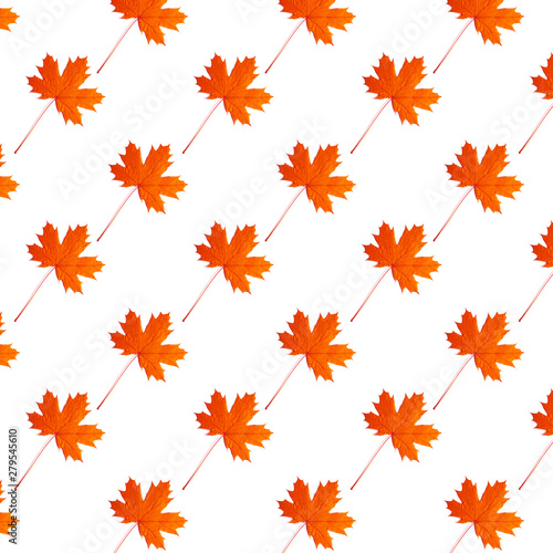 Red maple leaf on white background.