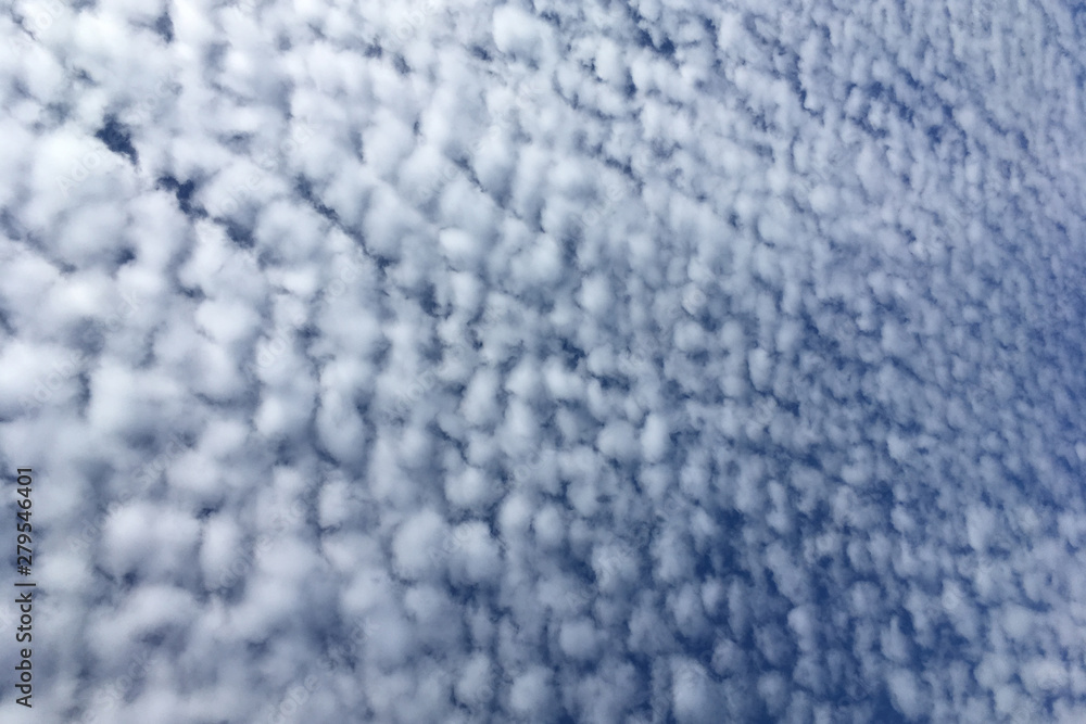 Cirrus clouds in the blue sky Cirrus clouds in the blue sky