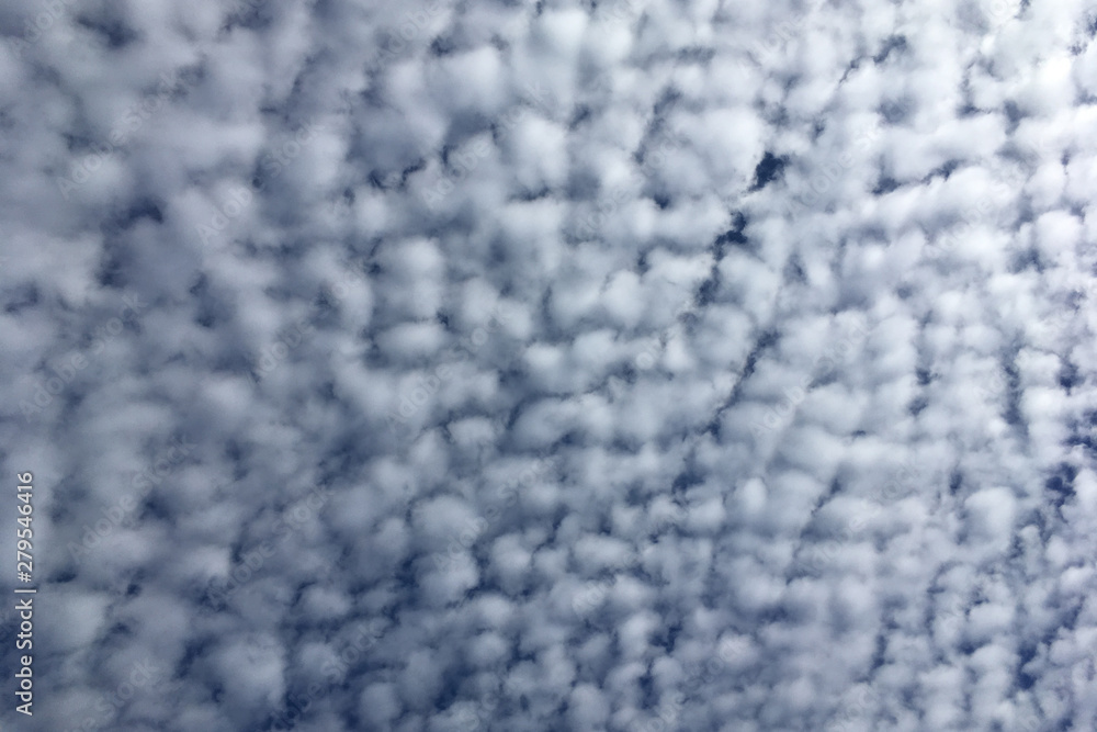 Obraz premium Cirrus clouds in the blue sky, texture