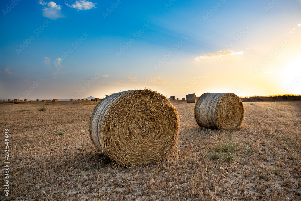 beautiful scenery of haystacks on the golden field, sunset, beautiful blue sky and clouds