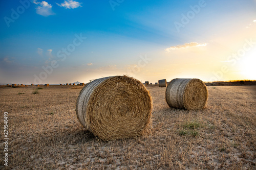 beautiful scenery of haystacks on the golden field, sunset, beautiful blue sky and clouds