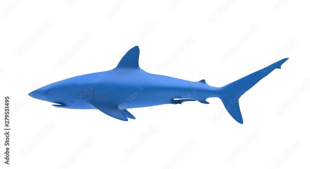 Black Shark on Blue Background 3D Rendering