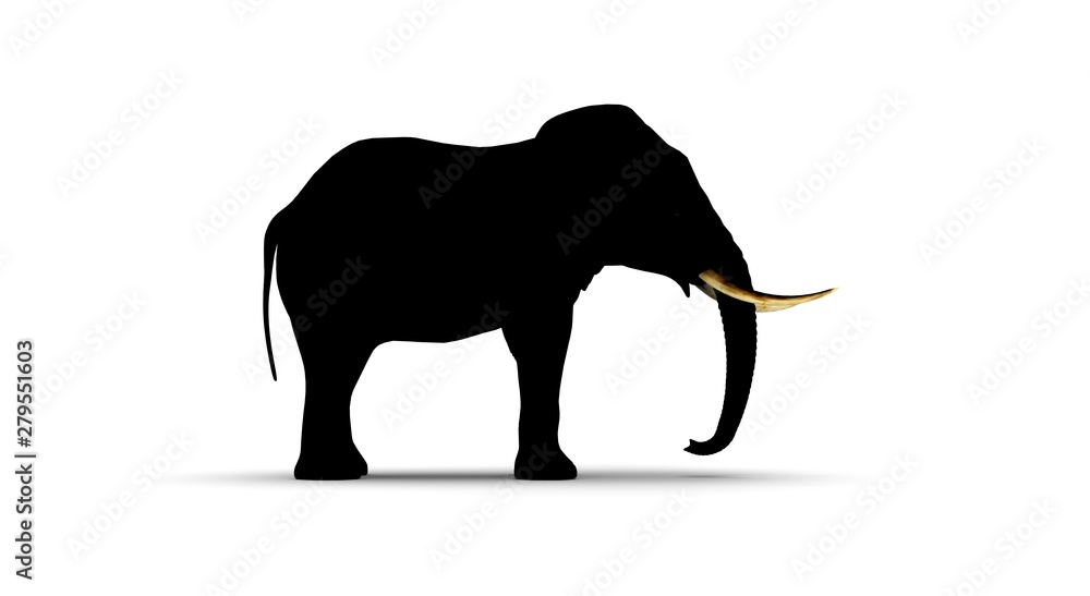 Fototapeta premium Elephant on White Background 3D Rendering