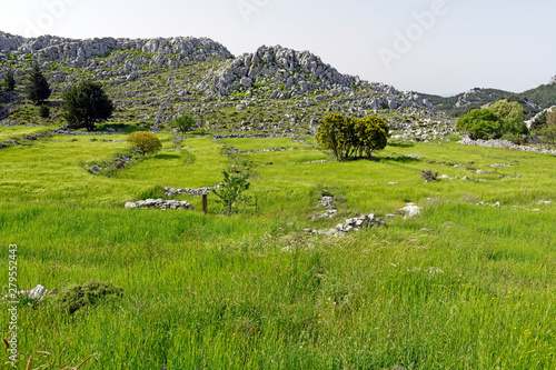 Feld-Terrassen auf der griechischen Insel Symi - field terraces on the greek island Symi photo