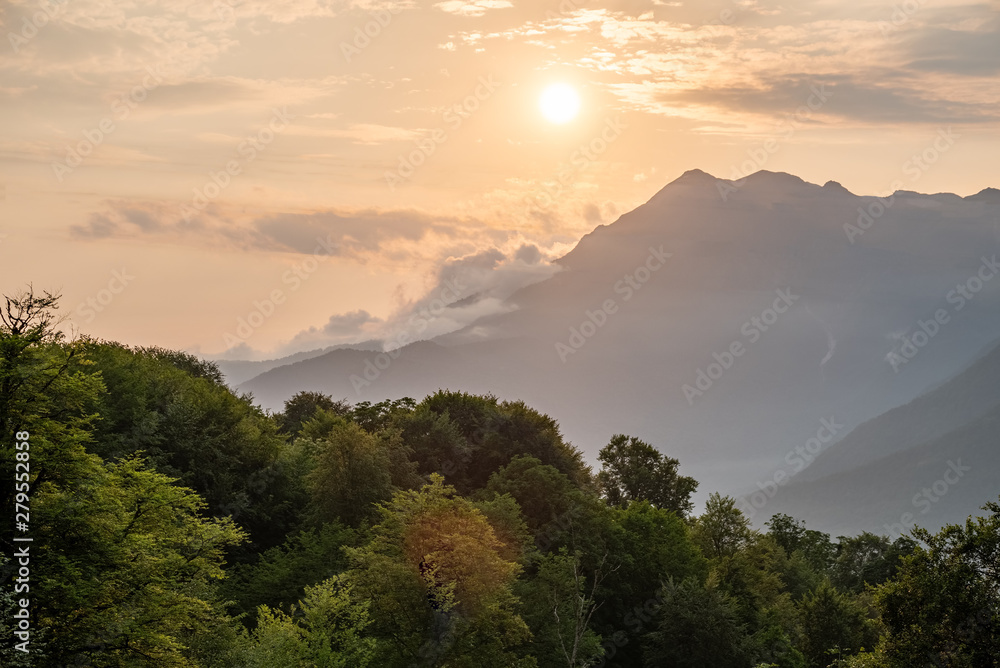Sunset in the mountains among the green trees Sunset in the mountains among the green trees