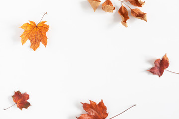 Autumn creative composition. Dried leaves on white background. Fall concept. Autumn background. Flat lay, top view, copy space