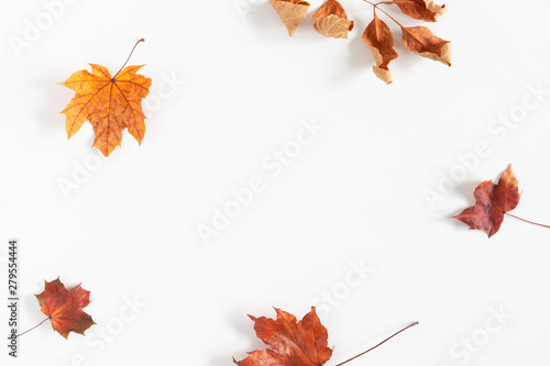 Autumn creative composition. Dried leaves on white background. Fall concept. Autumn background. Flat lay, top view, copy space