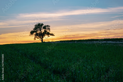 Sunset in March