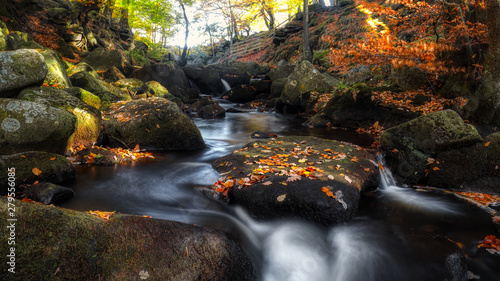 long exposure autumn leaves and mountain stream