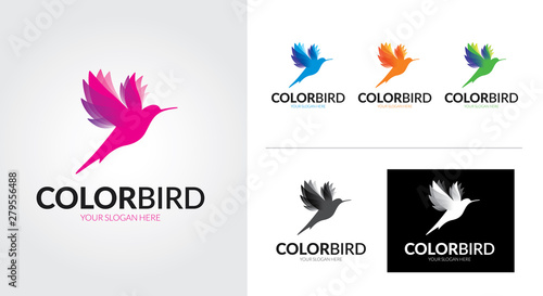 Color bird creative and minimalist logo template Set