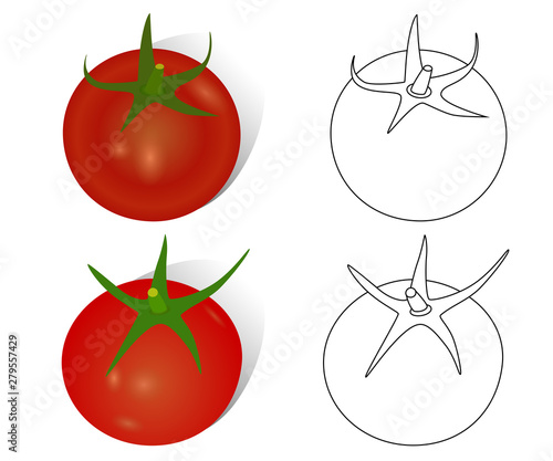 Hand-drawn ripe tomatoes, realistic and contoured objects, vector drawing.