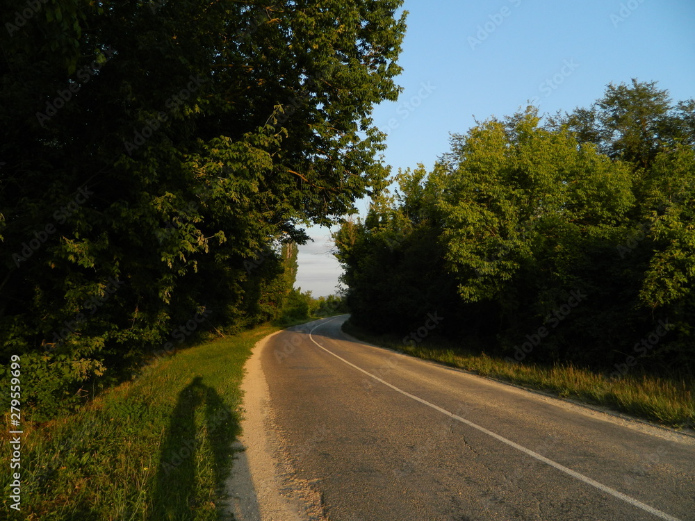 Obraz premium forest_road