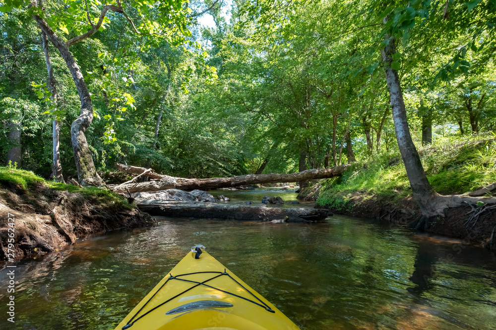 Fototapeta premium Kayaking on the Catawba River, Landsford Canal State Park, South Carolina
