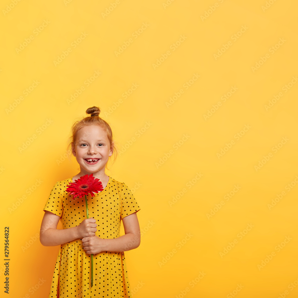 Vertical image of adorable red haired girl with bun, has gentle smile, expresses happiness, holds red gerbera flower, going to congratulate friend, wears stylish yellow dress, likes summer time