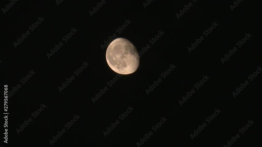 The Moon going behind a tree time lapse The Moon going behind a tree time lapse