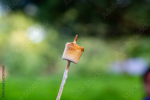Toasted Marshmallow on a stick