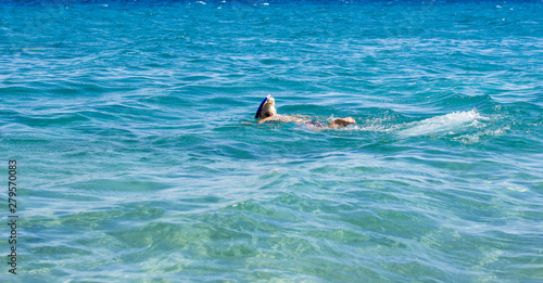 woman swimming and snorkeling in sea wavy water surface clear natural environment in summer vacation time, copy space 