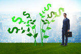 Money tree concept with businessman in growing profits