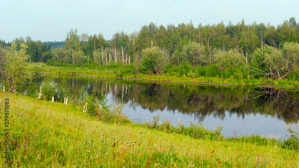 Overgrown with grass and remains of birches Bera wild Northern lake with a reflection of the forest in Yakutia in the summer in the green grass.