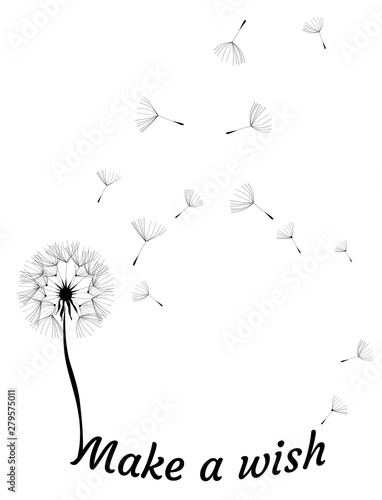 Fototapeta Naklejka Na Ścianę i Meble -  Vector Dandelion Make a Wish