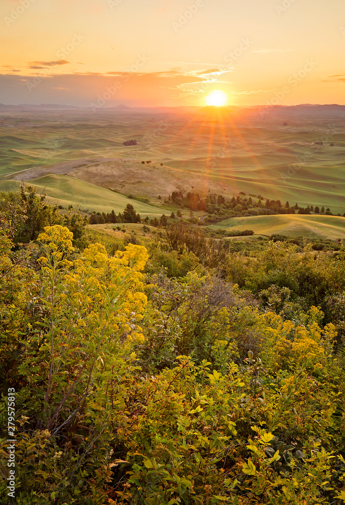 Sunrise over the palouse farm lands and rolling hills of wheat