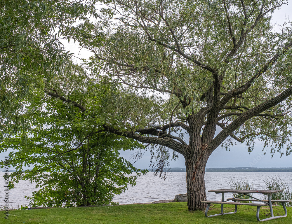 Obraz premium Lake view, stones, and trees at Claredon Beach Park Keswick Ontario Canada