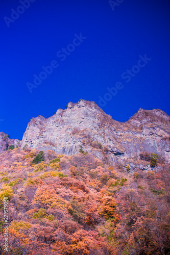 妙義山の紅葉