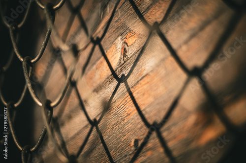 Fence and shadows on wood