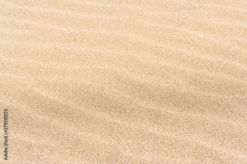Sand texture. Sandy beach for background. 