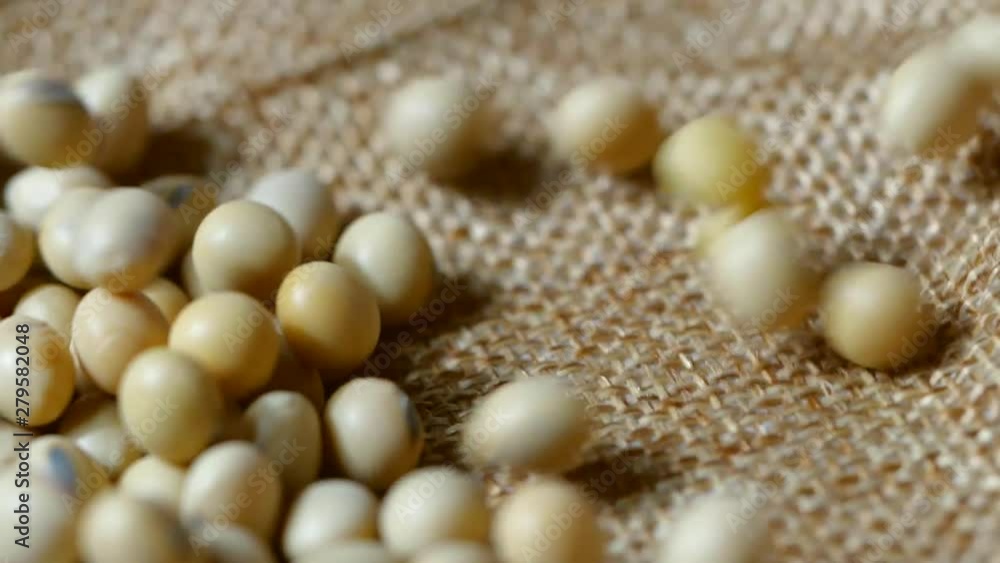 Large mass of soy beans dropping in slow motion Large mass of soy beans dropping in slow motion