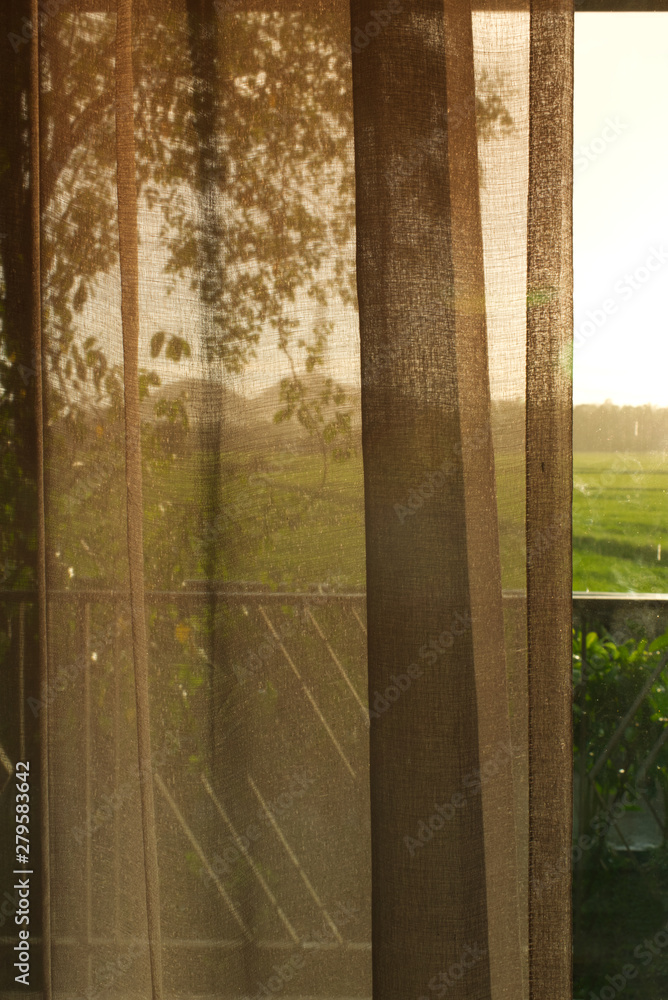 view from a room looking to rice field, see through curtain