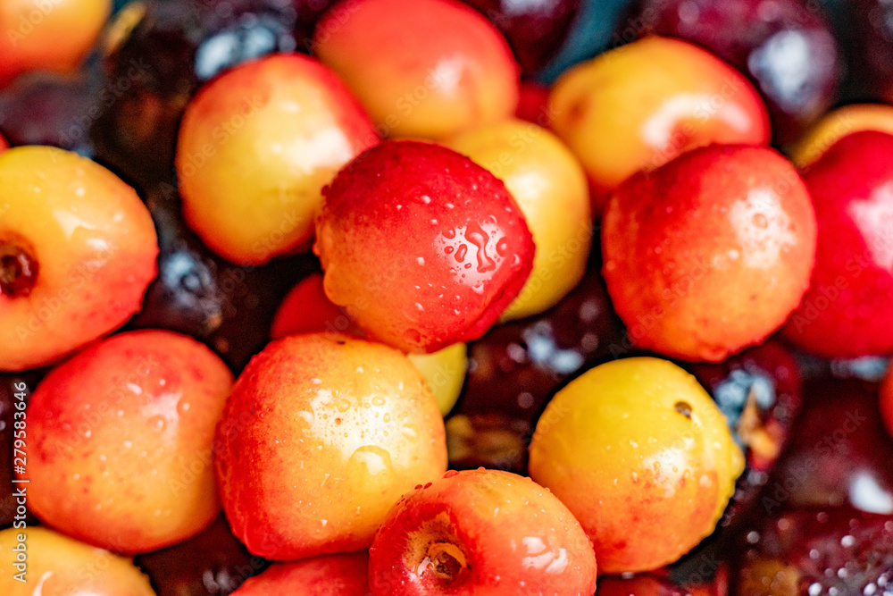 macro close up of multicolored cherry berries with water drops on them, black red and yellow macro close up of multicolored cherry berries with water drops on them, black red and yellow