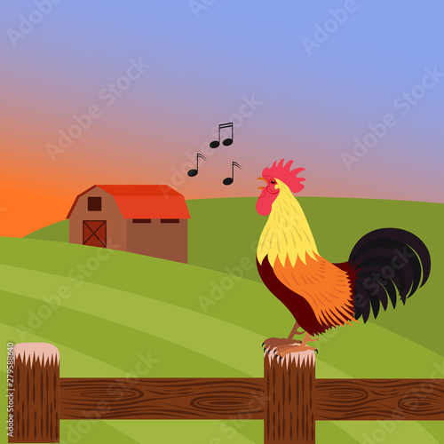 Rooster crowing at dawn on a farm standing on a fence vector illustration