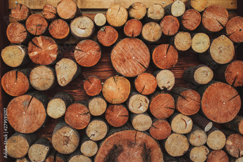 wood round timber texture
