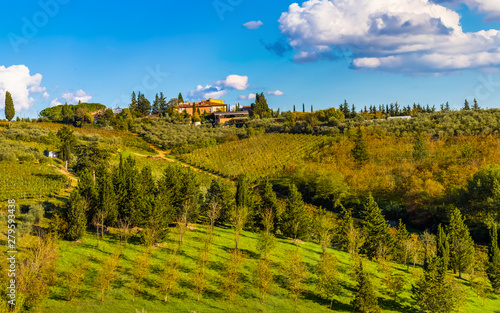 rural landscape with vineyards in tuscany italy