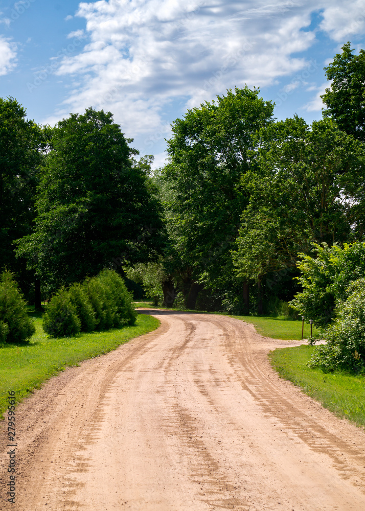 Rural road without asphalt surrounded by green trees. Rural road without asphalt surrounded by green trees.