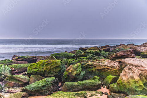 Misty Winter Morning at the Seaside photo