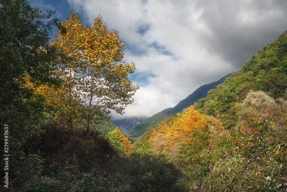 Mountain range overgrown with forest in autumn day Mountain range overgrown with forest in autumn day
