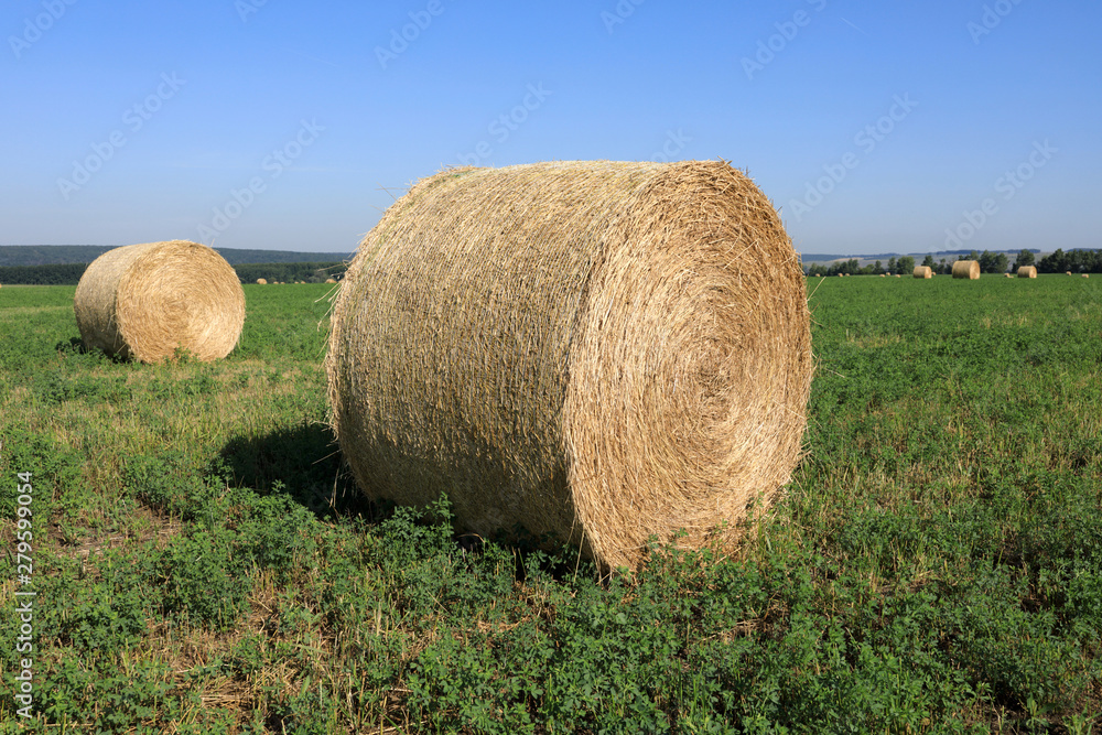 View of bales of straw on field View of bales of straw on field